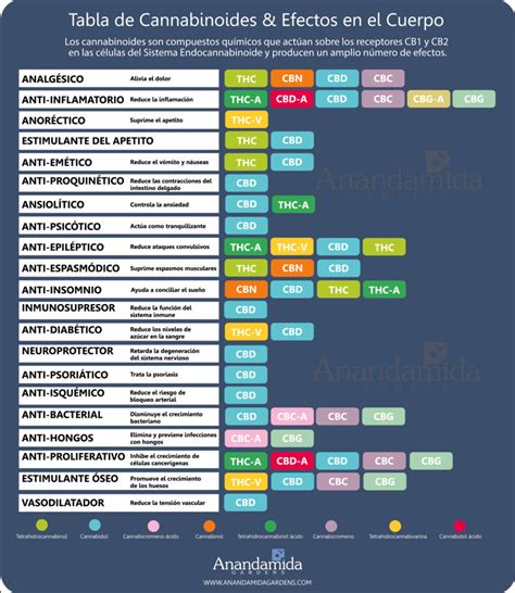 Diferentes tipos de cannabinoides y sus efectos