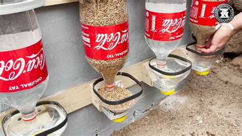 Tipos de comederos y sus materiales