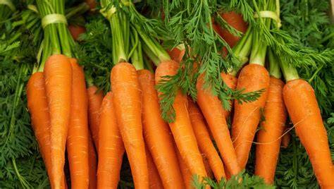 Zanahorias frescas y secas