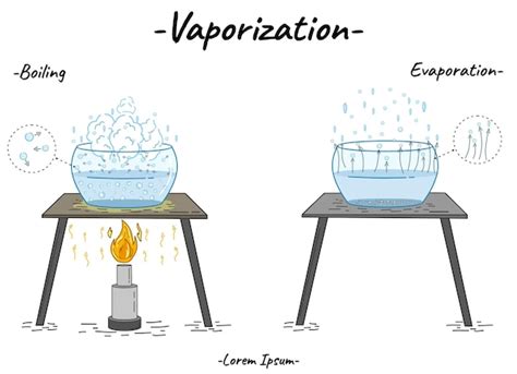 Esquema del proceso de vaporización del arroz