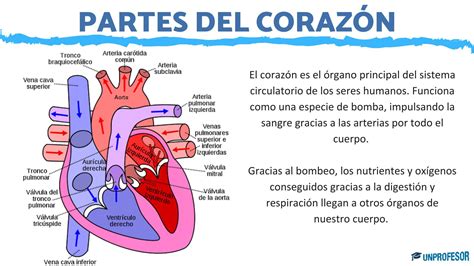 Panificadora y sus funciones