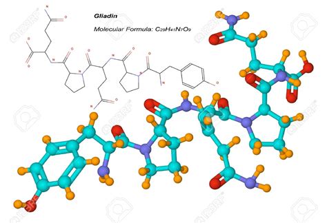 Estructura molecular del gluten de trigo