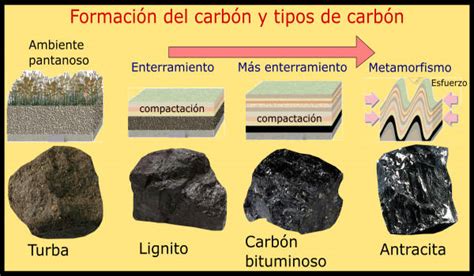Tipos de carbón vegetal