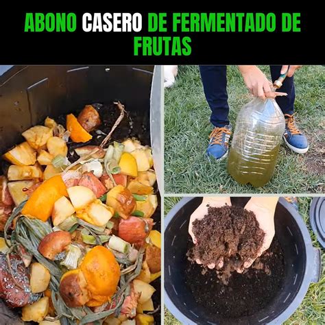 Comparación de azúcar refinado, panela y azúcares naturales en frutas