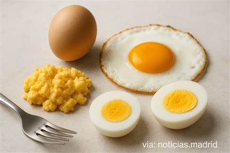 Infografía: Impacto de la cocción en la digestibilidad del huevo