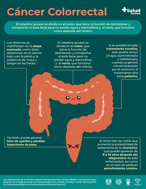 Estudio sobre la berenjena y el cáncer colorrectal