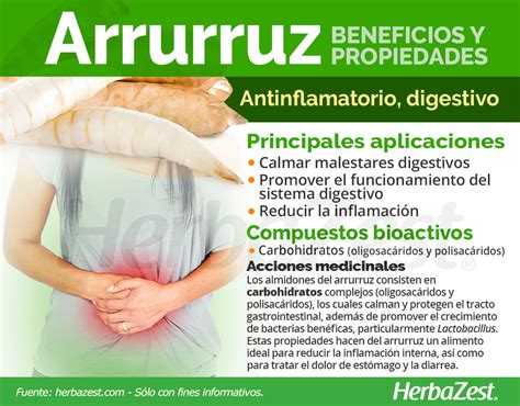 Infografía sobre los beneficios del arrurruz