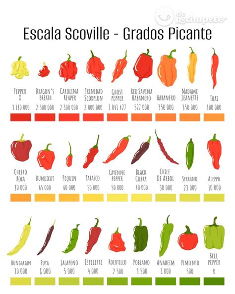 Gráfico ilustrativo del método original de Scoville