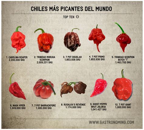 Los chiles más picantes del mundo