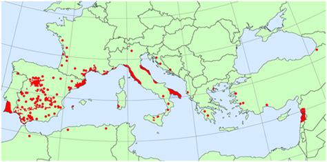 Mapa de la distribución del Pinus pinea en la Península Ibérica
