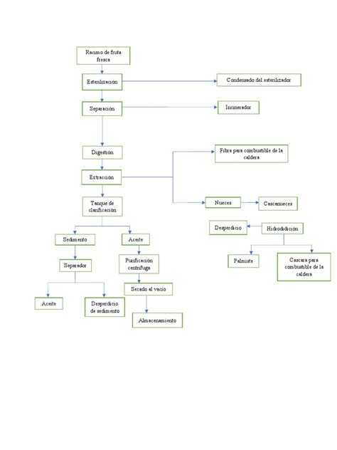 Diagrama de flujo de la producción de aceite de palma