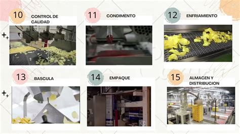 Proceso de elaboración de papas fritas congeladas