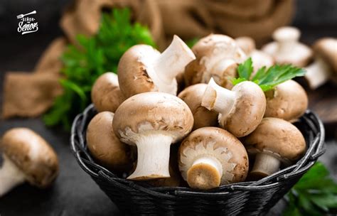 Variedad de champiñones frescos