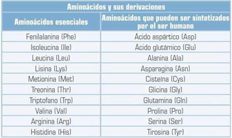 Tabla de aminoácidos esenciales y no esenciales