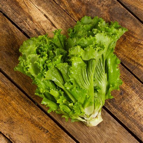 Lechuga fresca