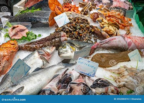 Variedad de pescados y ajos