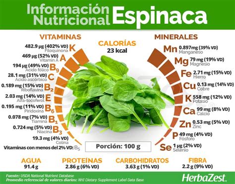 Propiedades nutricionales de las espinacas