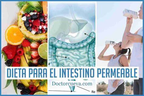 Dieta antiinflamatoria para el intestino permeable