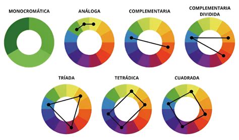 Diferentes formas de combinar un body con relleno