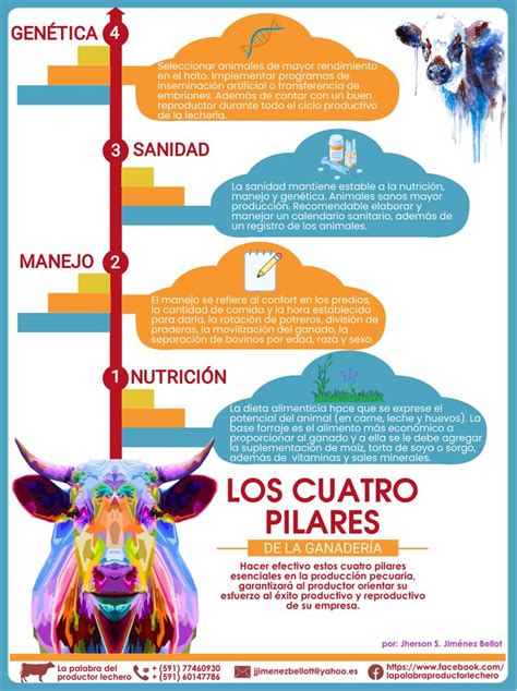 Infografía sobre los pilares de