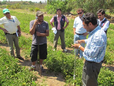 Agricultores locales colaborando en la producción sostenible