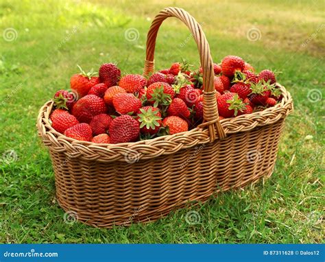 Cesta de fresas frescas