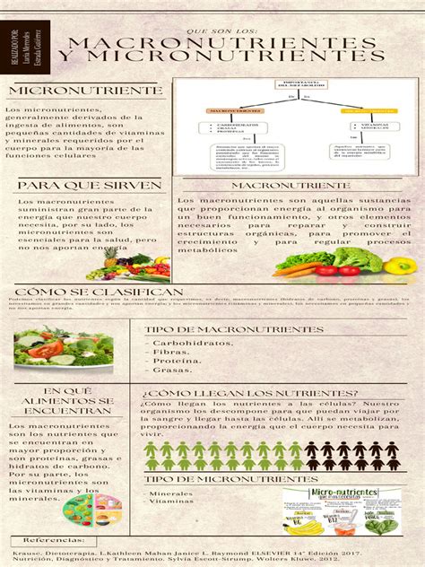 Infografía de los micronutrientes presentes en la nata