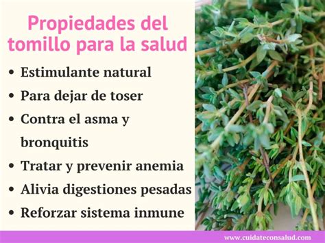 Infografía sobre las propiedades medicinales del tomillo
