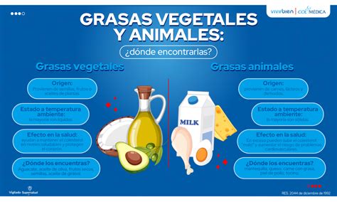 Infografía comparativa de grasas para untar