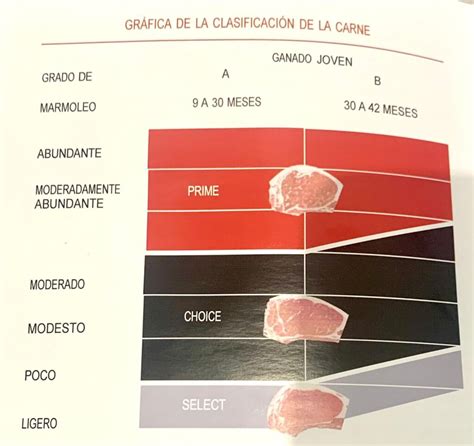 Tabla de clasificación de la carne de vacuno por edad