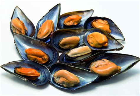 Mejillones frescos en su concha