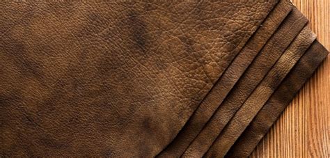 textura porosa característica de la piel de cerdo
