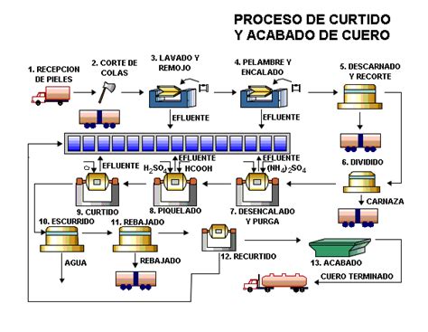 esquema del proceso de curtido del cuero