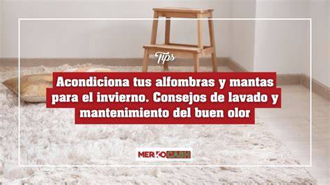 Esquema de mantenimiento regular de alfombras y textiles del hogar