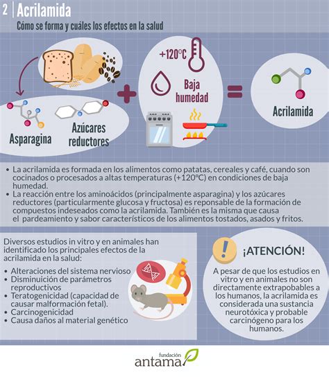 esquema de formación de acrilamida en alimentos