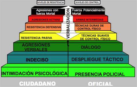 esquema de los niveles de fuerza en harinas