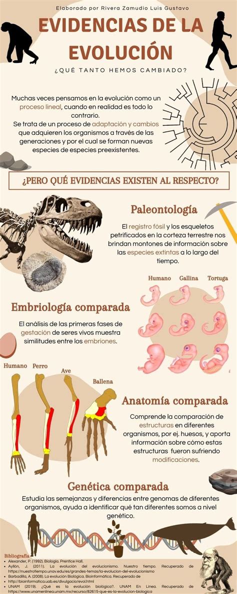 Infografía sobre el origen y evolución de la croqueta