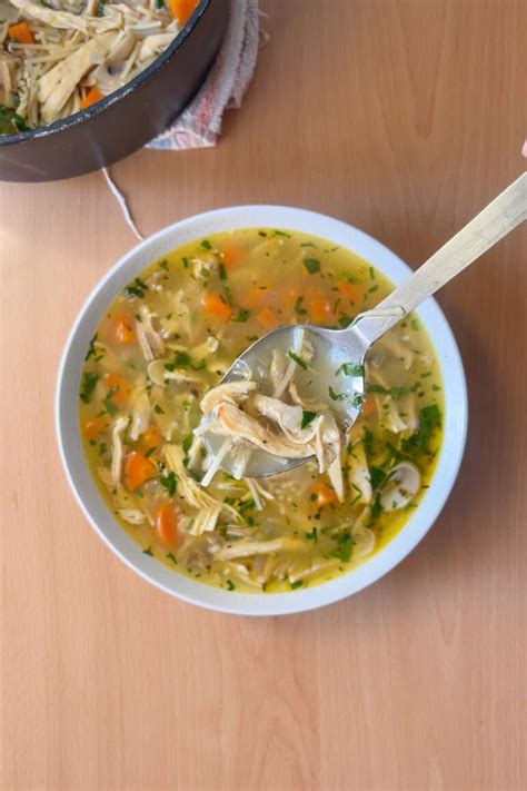 Sopa de pollo casera humeante con verduras y fideos