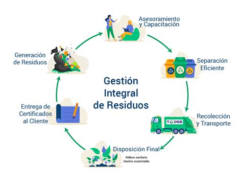 Esquema de las etapas de contaminación de frutas y vegetales