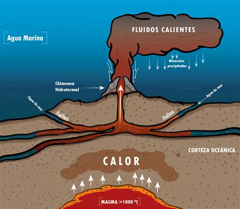Esquema de una fuente hidrotermal en el fondo oceánico