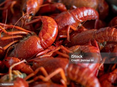 Cangrejos de río cocidos y rojos