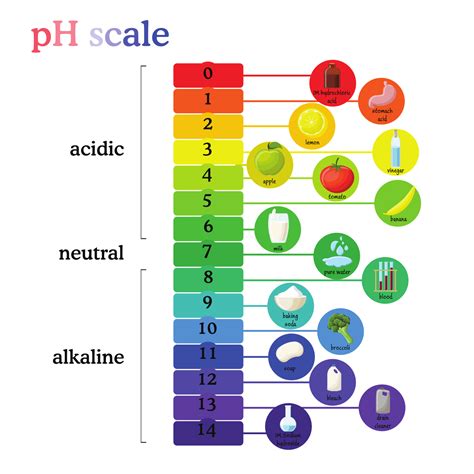 Tabla comparativa de pH de diferentes alimentos y bebidas