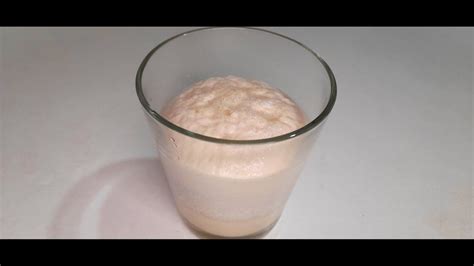 Mezcla de levadura, leche y agua reposando
