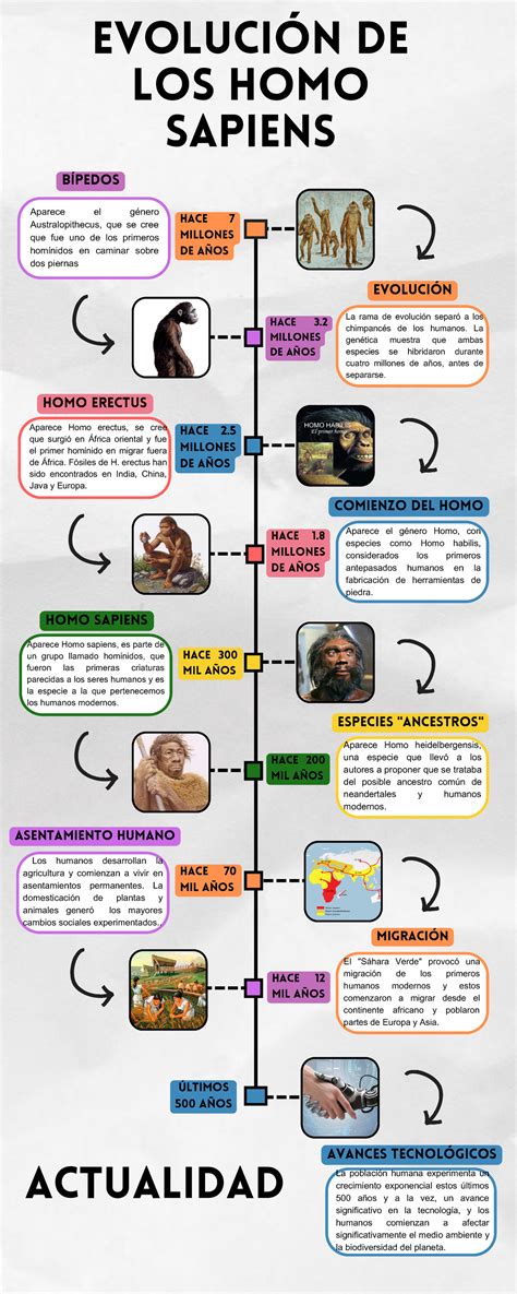 Infografía sobre la historia y evolución del sándwich de crema de cacahuete