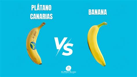 Comparativa visual entre plátano de Canarias, banana y plátano macho