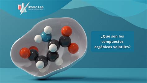 Compuestos volátiles del pan y su impacto en el aroma