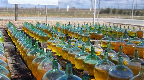 Damajuanas de cristal expuestas al sol para la oxidación del vino