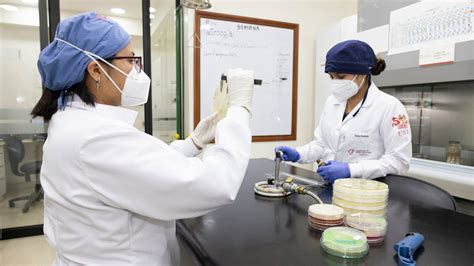 Laboratorio de microbiología y diagnóstico de levaduras