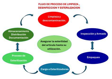 Proceso de limpieza de las vísceras de cordero