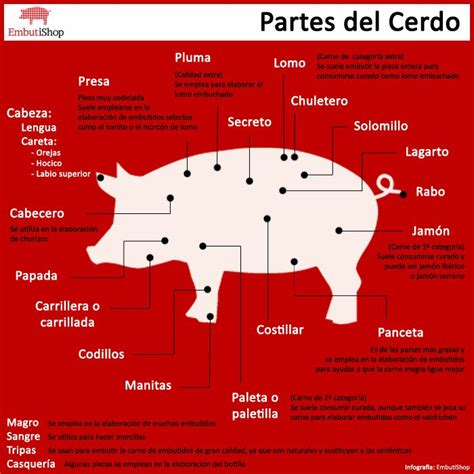 Ilustración de la anatomía del codillo de cerdo